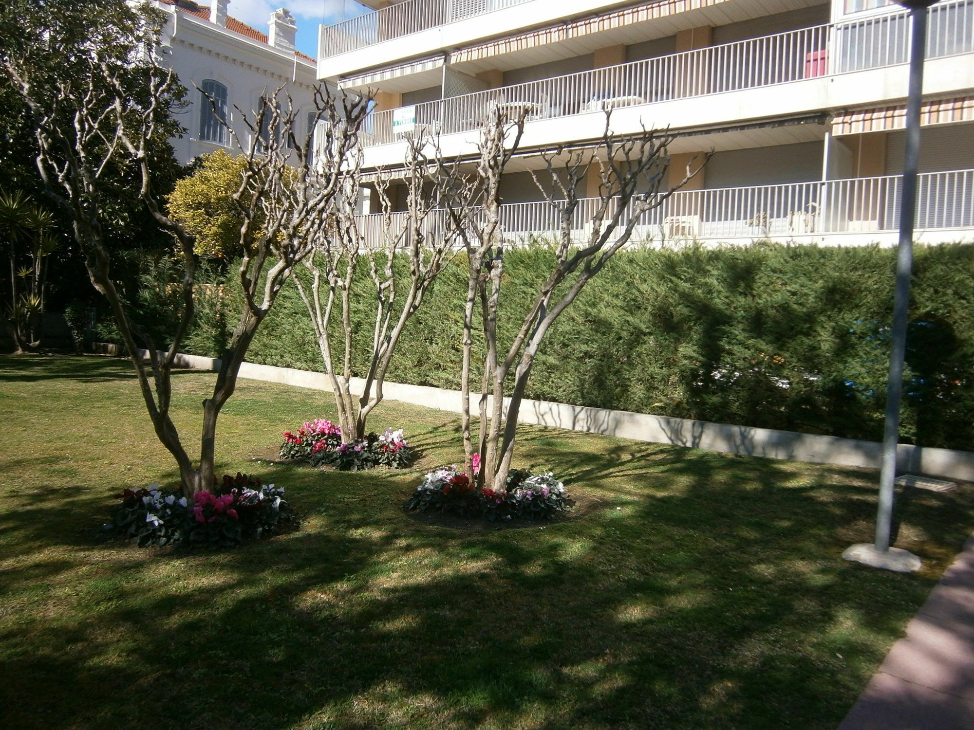 Congress Apartment Cannes